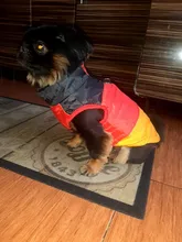 Coat Vest Jacket Puppy Outfit Pet-Dog Yorkie Warm Chihuahua Winter for Windproof Padded