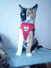 Arnés y correa reflectantes para gato, ropa transpirable a prueba de Escape para mascotas, chaleco ajustable de fácil Control