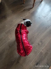 Ropa para perros grandes, chaleco impermeable para perros grandes, chaqueta de otoño e invierno, abrigo para perros cálidos, ropa para perros, Chihuahua Labrador S-7XL