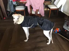 Jacket Clothing Coat Greyhound Waterproof Dog Dogs Large Super-Warm Medium Thick 