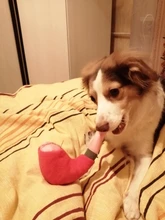 Dog Squeak Puppy-Toys Pets-Supplies Plush-Pipe Bulldog Chew Small-Dogs French for Yorkie