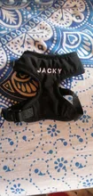 Vest Harnesses Puppy-Kitten Dogs Adjustable Personalized Chihuahua Soft Nylon for Small