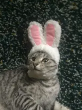 Disfraz de mascota con Orejas de conejo, gorro para gato, Halloween, ropa de Navidad, vestido de lujo con orejas, accesorio para Otoño e Invierno