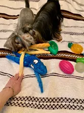 Squeaky Toy Cleaning-Toys Puppy-Rubber Dog-Play-Balls Molar Pet-Chew Tooth Bite-Resistant