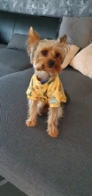 Traje para perros con estampado de animales, abrigo suave de algodón para mascotas, Jersey, camisa, chaqueta, suéter, ropa para mascotas