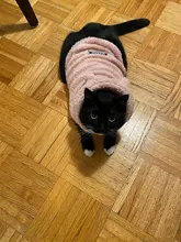 Cat Jacket Costume Yorkshire-Clothing Kitten Winter Warm for Small Medium Dogs Chihuahua