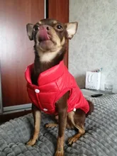 Abrigo cómodo para perro mascota, chaqueta acolchada de algodón, Color sólido, Simple, cálido para invierno, chaqueta acolchada para cachorro, abrigo suave sin mangas