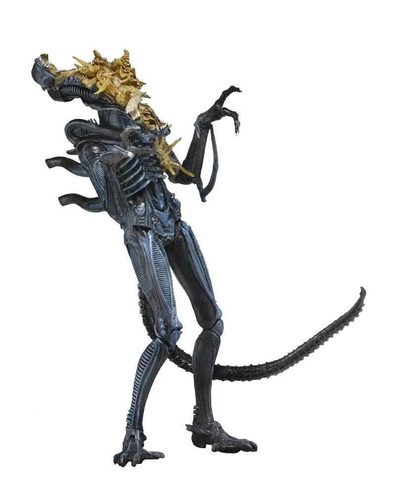 5,1