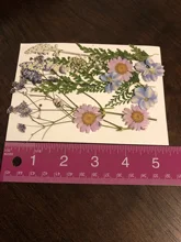 Dried Flowers Beauty-Decal Filling-Jewelry-Decoration Epoxy-Resin Dry Natural for DIY