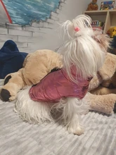 Jacket Coat Vest Pet-Dog Dogs Chihuahua Waterproof Winter Large for Big Autumn Warm Clothing-For-Dogs