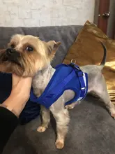 Dog-Harness Vest Lead Leash Pet Reflective Adjustable Small Medium Dog Walking Summer