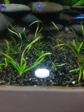 Tableta de CO2 de aquiario plantado, difusor de tanque de peces de dióxido de carbono, agua acuática, hierba, CO2, ayuda a la de las plantas fotosintéticas, 60 uds.