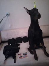 Vest Pouches Pet-Harness Dogs No-Pull Training Molle Military Hiking Tactical Large Medium