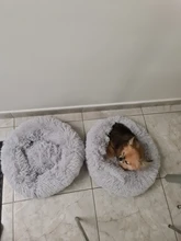 Cama de Gato supersuave, 14 colores, redonda, mullidas de gato, cesta para dormir, larga felpa, cálida, alfombrilla para mascotas, perrera ligera de tacto cómodo