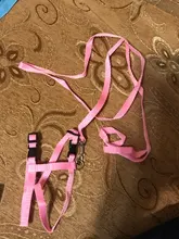 Pet Cat Collar Harness And Leash Adjustable Nylon Pet Traction Dog Kitten Halter Collar