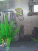 Aquarium-Decoration Statue Terrarium Island-Stone Resin Ornament Easter Fish-Tank Home-Decor