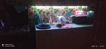 Tape Ribbon Led-Lights Light-2-30m Christmas Rgb Smd5050 Bluetooth Waterproof Flexible