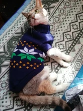 Pet Cat Reindeer Sweater Winter Warm Cat Clothes for Cats Kedi Outfit katten Clothing