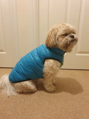 Warm Winter Dog Clothes Vest Reversible Dogs Jacket Coat 3 Layer photo review