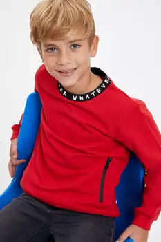 

DeFacto Boy Sweat Shirt-R5169A620AU