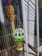 Parrot-Toys Pet-Supplies Hanging-Swing Parakeet Bell-Ball Chew Cockati Climb Cute Bite