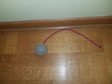 Pet-Supplies Training-Toy Rubber Tooth-Cleaning Puppy-Tpr Elastic-Ball Chew Funny Dog