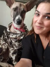 Jumpsuit Jacket Pet-Cloak Rain-Coat Labrador HOOPET Golden Retriever Waterproof Dogs