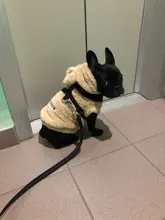 Fleece Pet Dog Clothes Winter Warm Dog Coat Jacket for Dogs Hoodie Soft French Bulldog