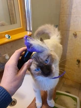 Pet Hair shedding Comb Pet Dog Cat Brush Grooming Tool Furmins Hair Removal Comb 