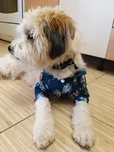 Camisetas de verano para perros, ropa de playa, chaleco para mascotas, camiseta Floral, Hawaiana para gatos pequeños y grandes, Chihuahua