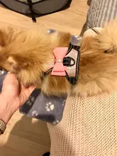 Pet-Supplies Harnesses-Vest Dog-Accessories Pitbull Dogs Reflective Pug Bling Medium