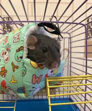 Small Animal Hammock Hamster-House Warm-Cage Rat/hedgehog Mini New Cat Winter Bed-Mat