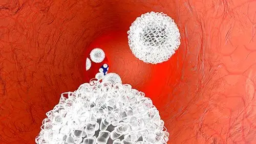 造成人体内白血球比例过高的原因-养生法典