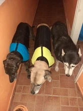 Ropa de perro grande invierno cálido mascota chaleco chaqueta impermeable perro abrigo ropa para perro grande Bulldog Golden Retriever ropa