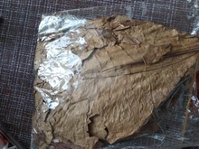 Betta Fish Shrimp Aquarium Almond-Leaves Natural Indian 10pcs Habitat Terminalia Kill-Bacteria