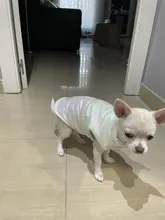 Dogs Vest Coat Pet-Clothing Puppy-Dog-Clothes Small Waterproof Winter Medium Warm Cute