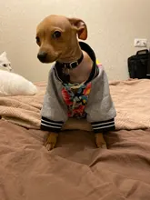 Jacket Costume Coat Bulldog-Clothes Small Dog Pug French Winter Pet-Dog Warm Cute 