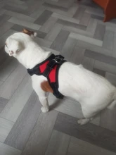 Adjustable Harness Pets-Accessories Dog-Vest Reflective-Dog Walk-Out Soft 