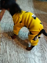 Ropa de Perro de algodón francés mascota Bulldog mono caliente Ropa de mascotas para pequeños perros mediano traje de invierno traje de Perro Ropa de Perro