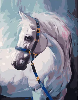 

Painting by numbers PKC 46006 white horse with a bridle 30*40 exclusive