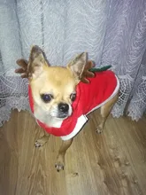 Christmas Dog Clothes Small Dogs Santa Costume for Pug Chihuahua Yorkshire Pet Cat Clothing