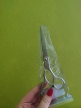 Tijeras profesionales de acero inoxidable para peluquería, herramienta para el cuidado del cabello, TLS Tls, 1 Uds.