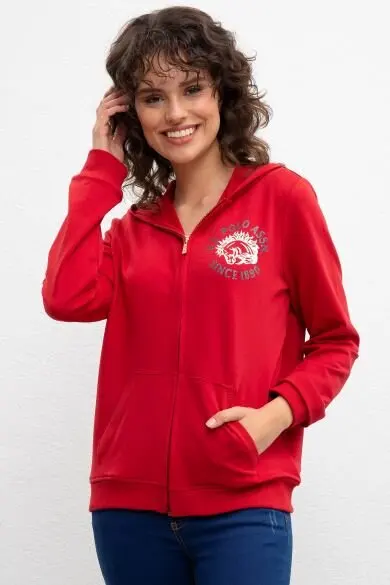 U.S. POLO ASSN. Обычная Толстовка