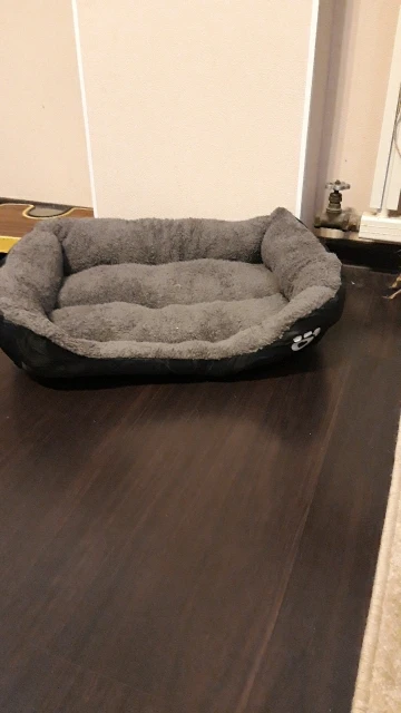 Customer photo