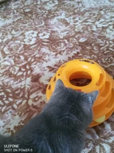 Torre de juguete para gato, torreón de tres niveles con pista de disco y pelota de entrenamiento, plato de diversión, triple, para inteligencia de mascotas