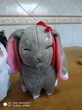 Plush-Doll Pet-Stuffed-Toys Animal-Wei Dao Kids Gifts Peluche Kawaii Ji Shi Rabbit Mo