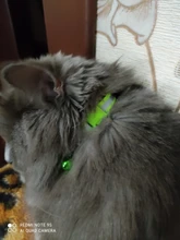 Collar reflectante para mascotas Collar campana ajustable tamaño adecuado para los gatos y suministros para mascotas perros básicos collares Qianyi