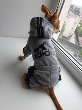 Pet Dog Clothes Fashion Hoodie Spring and Summer For Dogs Coat Jacket Cotton Ropa Perro