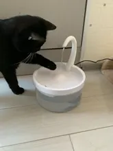 Water-Dispenser Fountain Cat-Drinking-Water Automatic New Intelligent Circulating