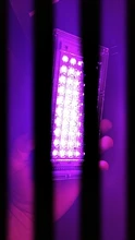 LED Grow Floodlight Seeding Plants-Tent Flower Phyto-Box Range-Lamp Light-Phytolamp Outdoor